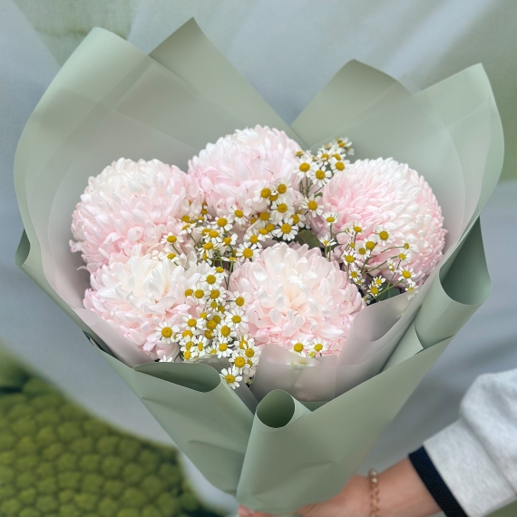 Розовые хризантемы с ромашкой